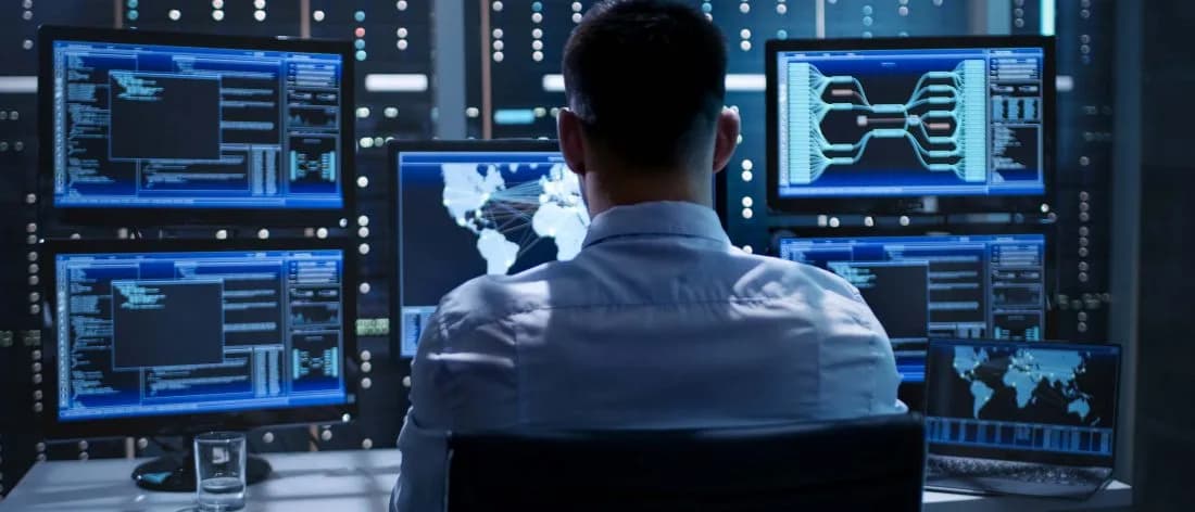Professional IT services